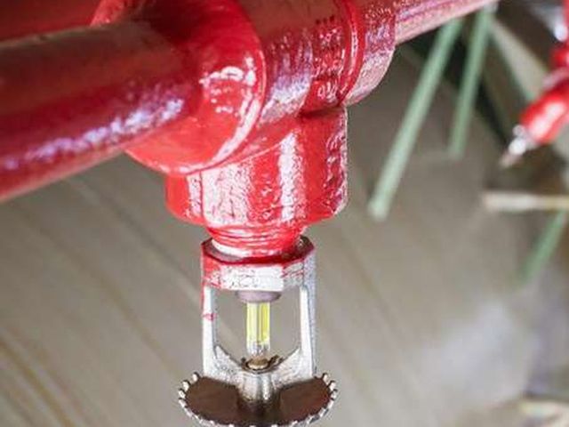 Rociador automático contra incendios AFG Security